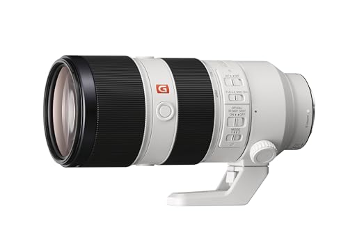 sony-sel70200gm-fe-70-200mm-f-2-8-gm-oss-teleobiettivo-zoom-g-master-per-full-fr image 8