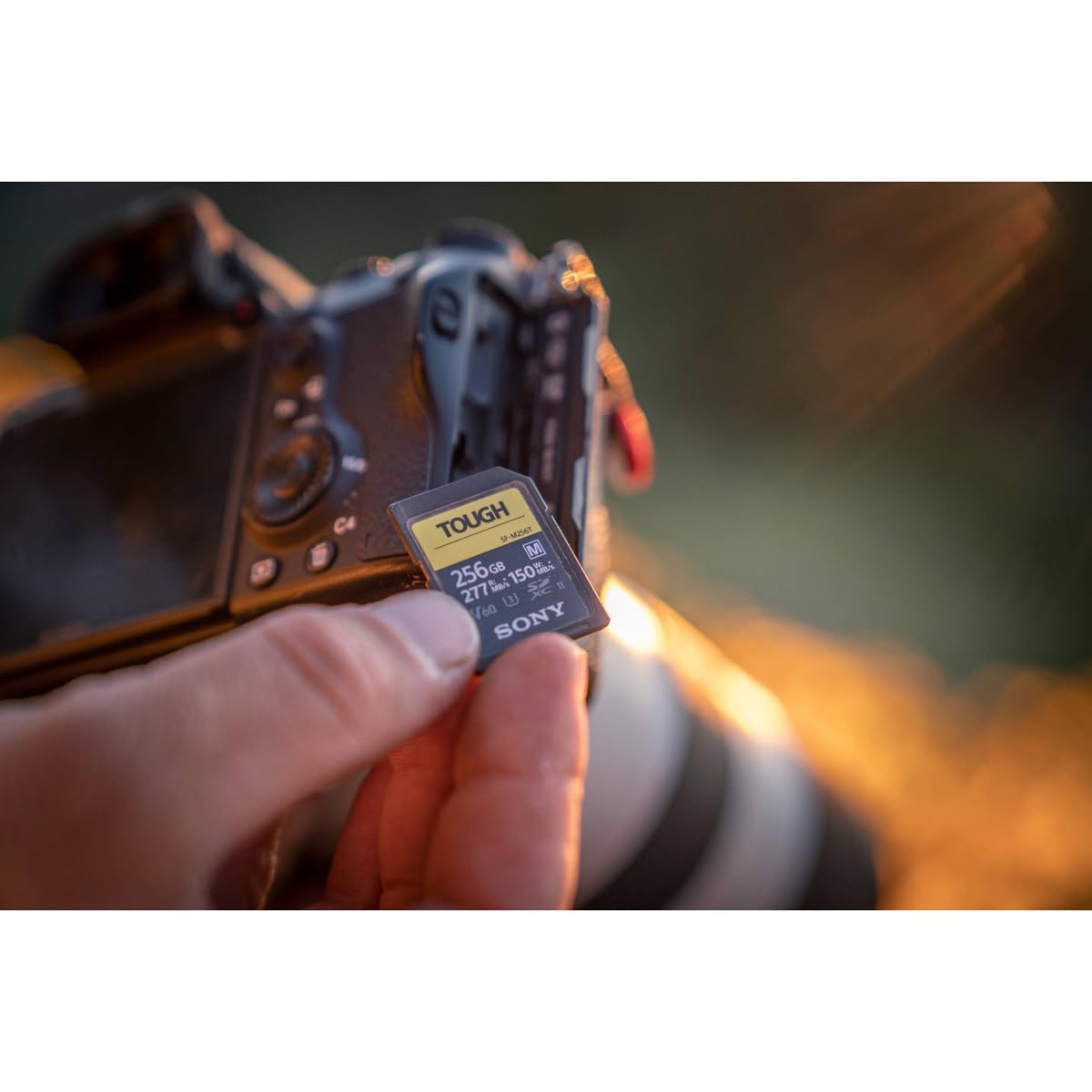 sony-sf-m128t-tough-scheda-di-memoria-sdxc-128-gb-uhs-ii-v60-fino-a-277-mb-s-let image 4
