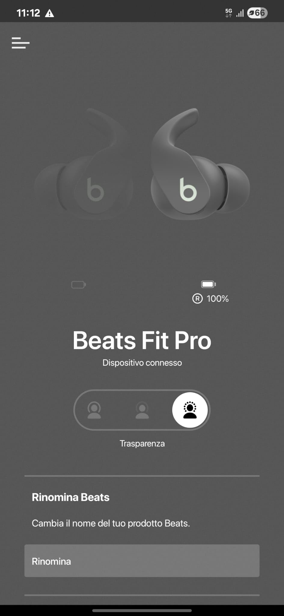 Buone ma il volume max è limitato