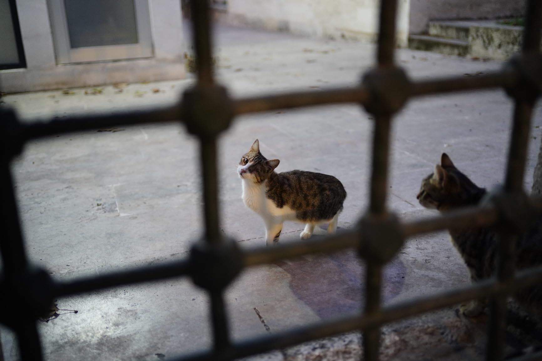 Focale fissa da tenere sempre