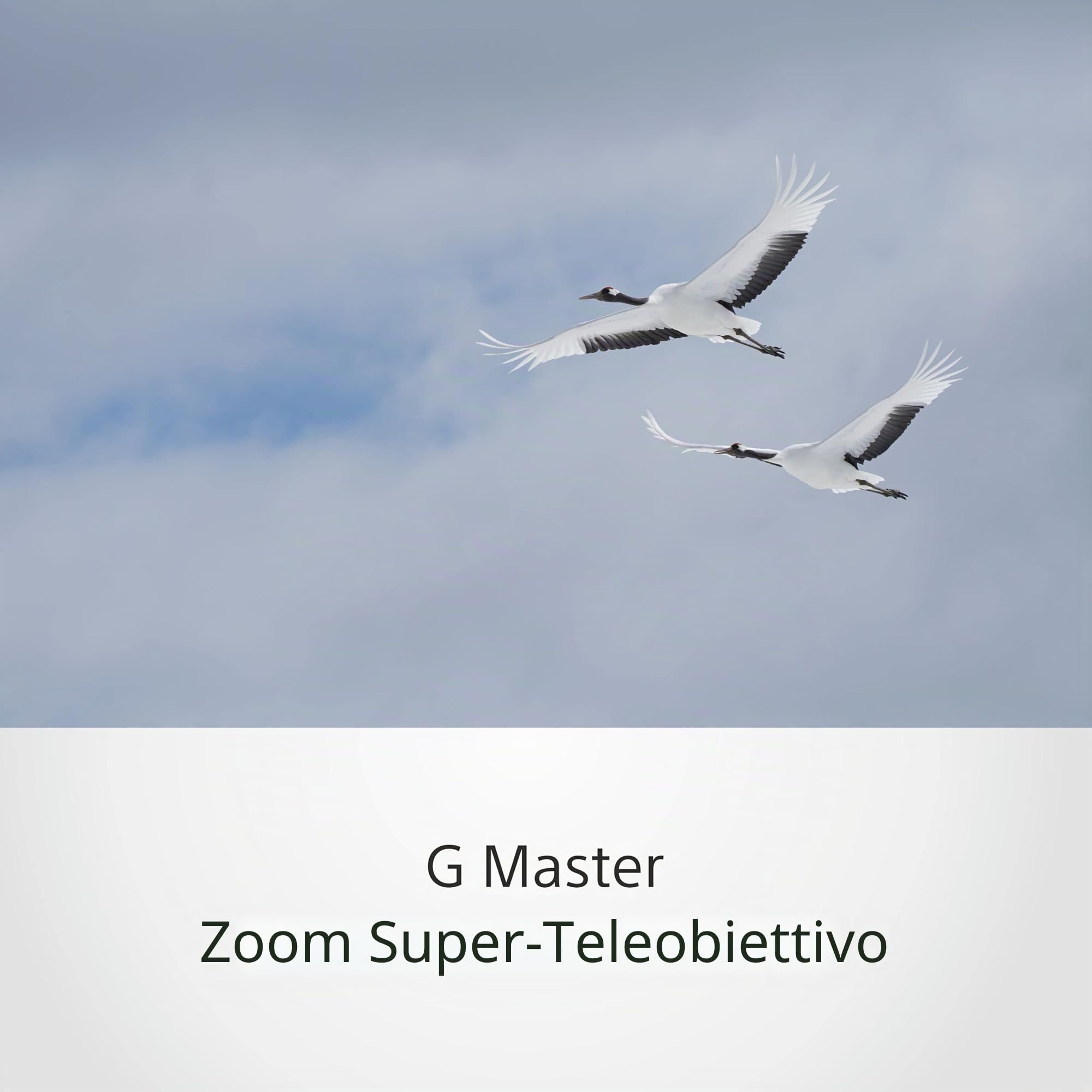 sony-fe-100-400mm-f4-5-5-6-gm-oss-sel100400gm-superteleobiettivo-zoom-g-master-e image 5