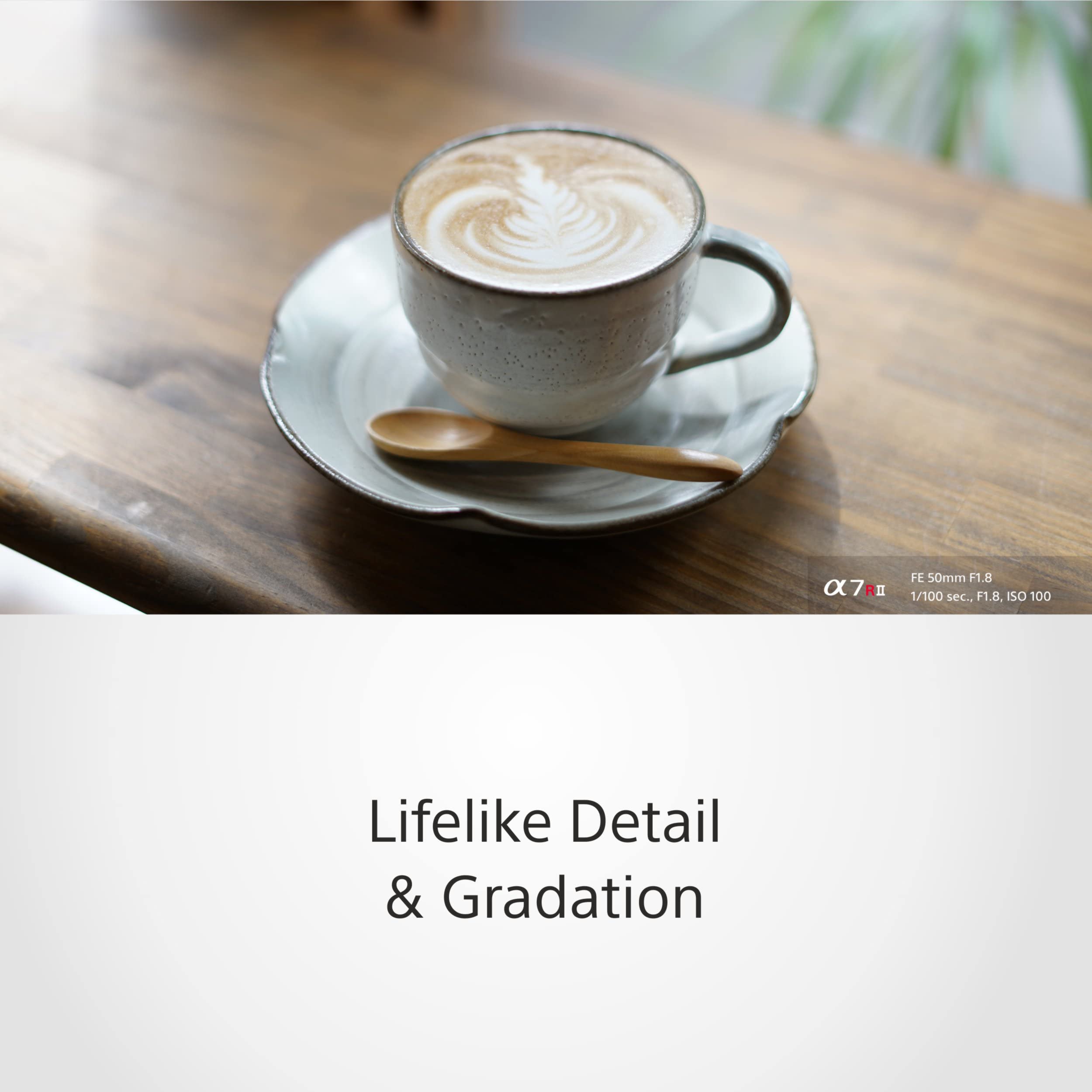 sony-sel50f18f-fe-50mm-f-1-8-obiettivo-primostandard-full-frame-e-mount-per-ritr image 4