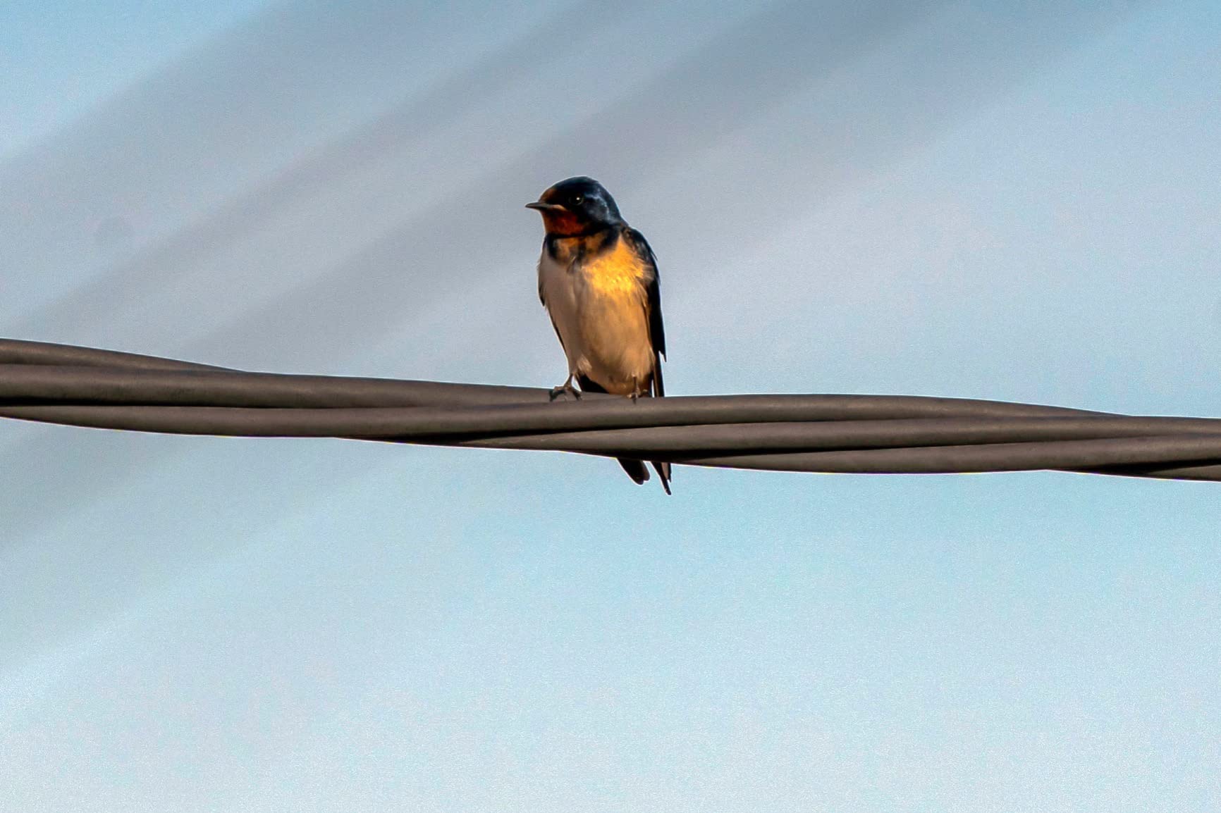 Consigliato a tutti gli amanti della natura