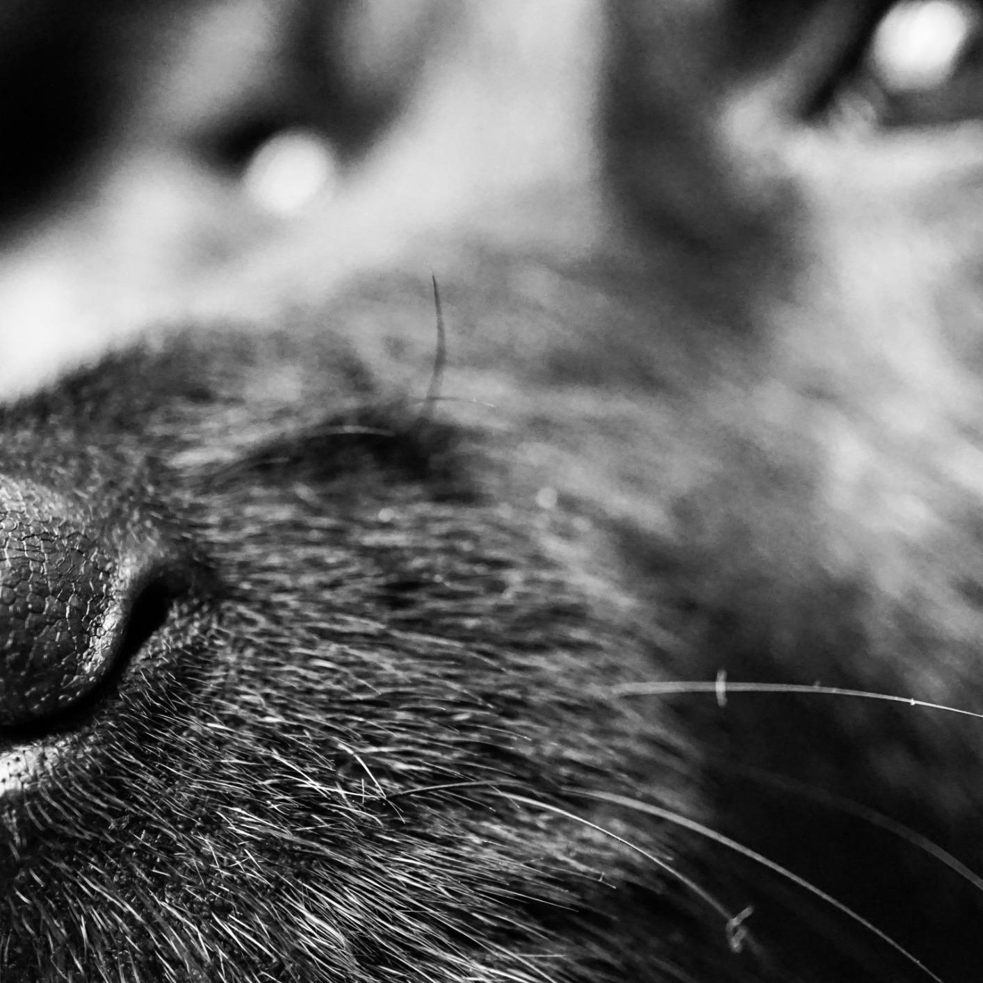 No autofocus sul mio corpo