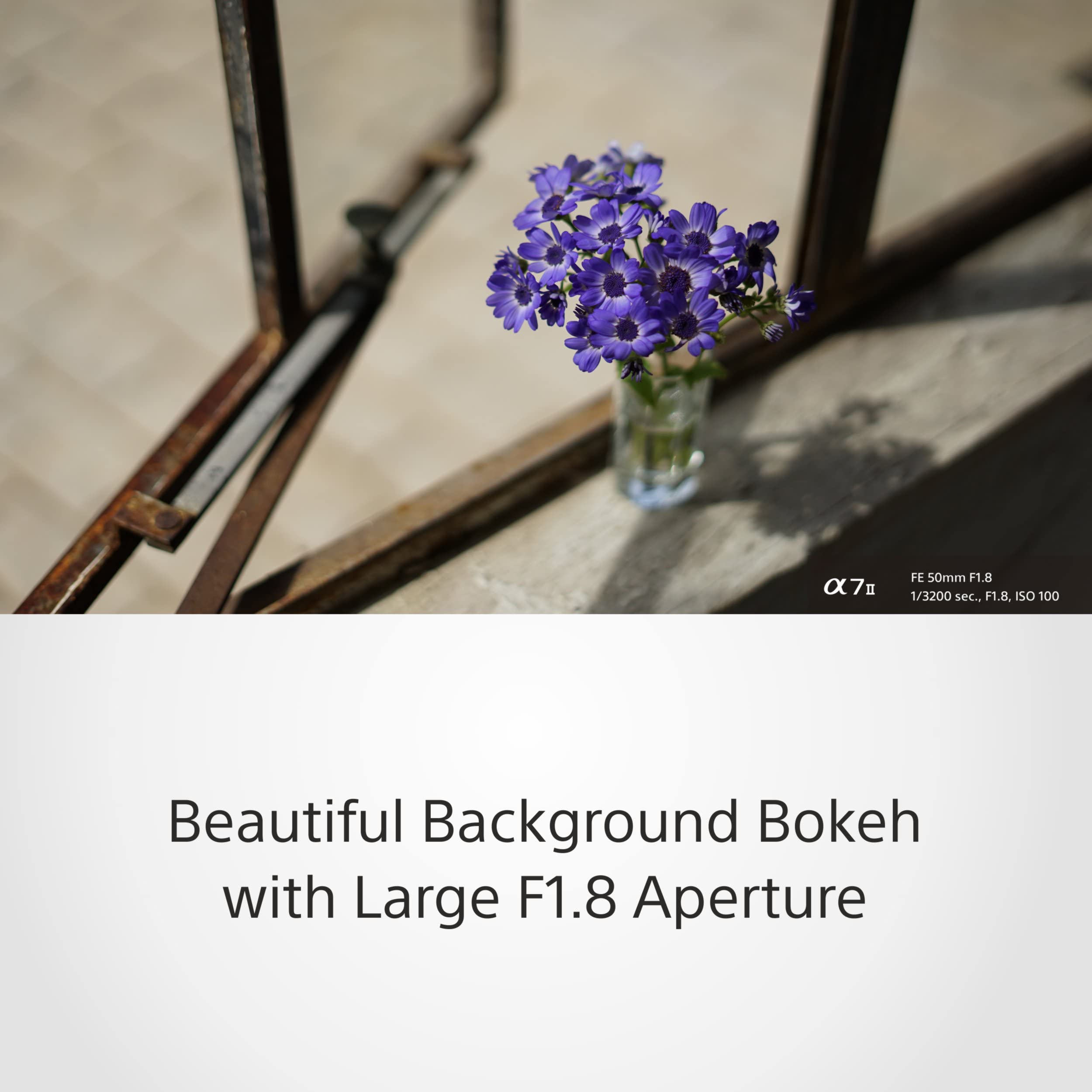 sony-sel50f18f-fe-50mm-f-1-8-obiettivo-primostandard-full-frame-e-mount-per-ritr image 5