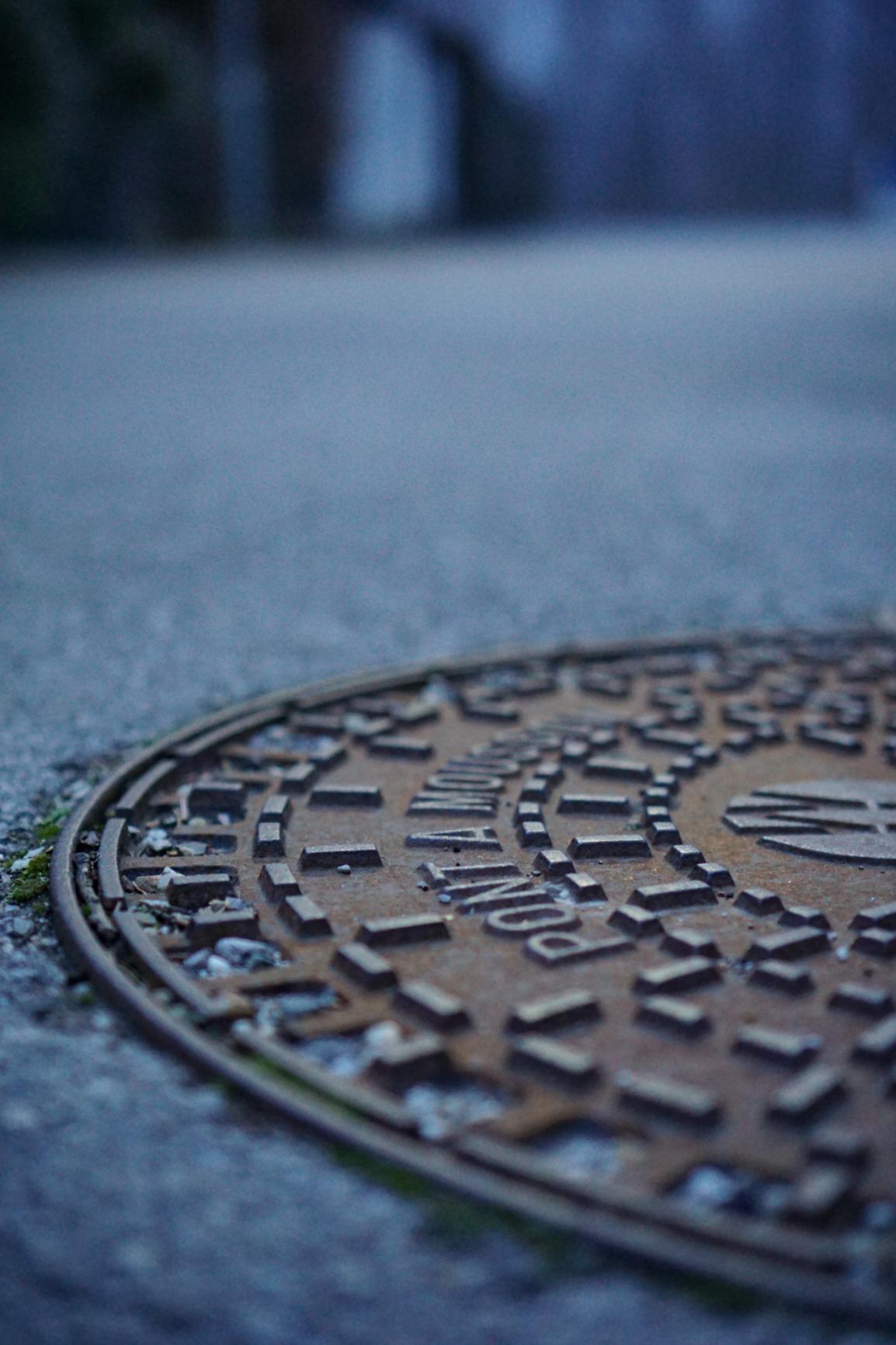 Scatto quotidiano garantito