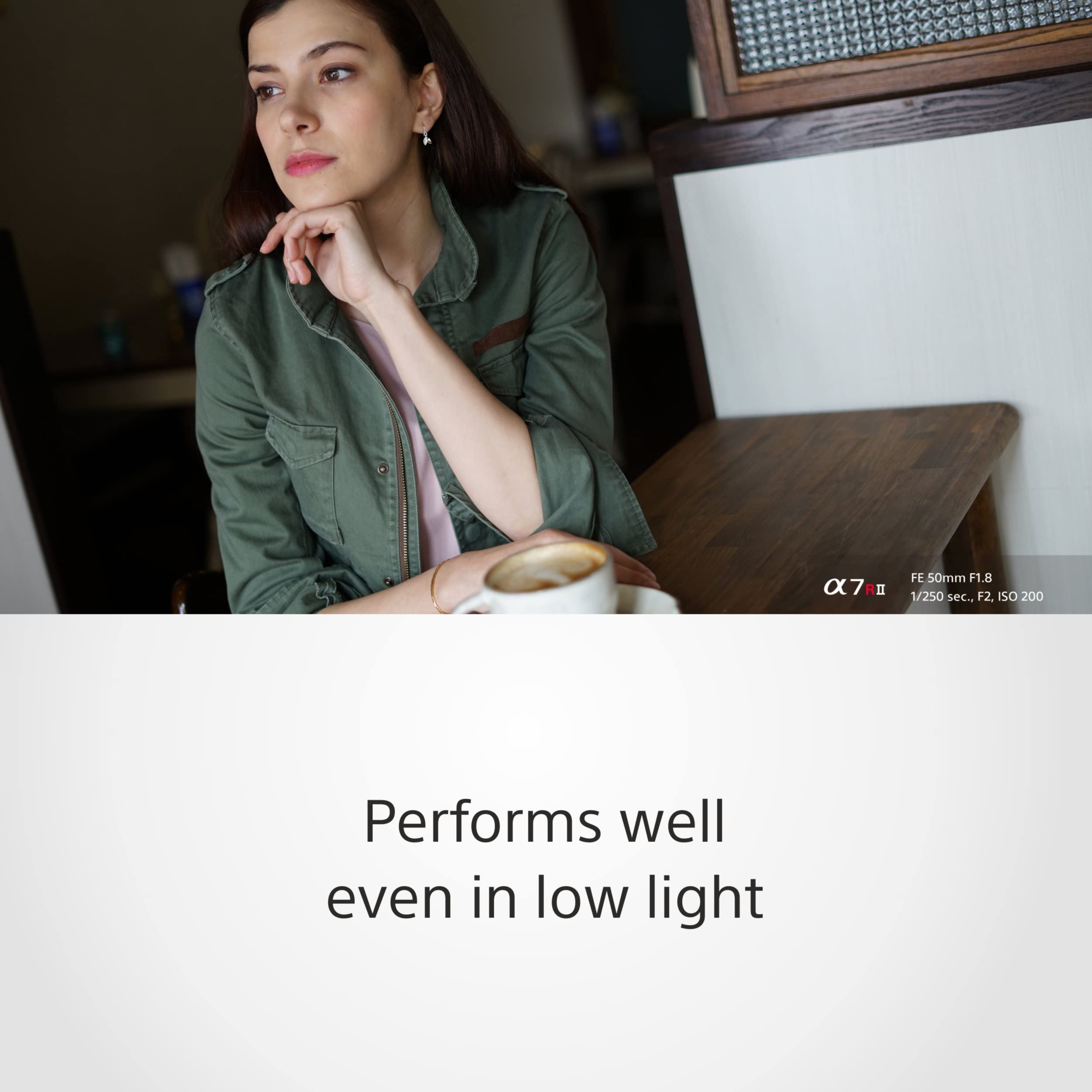 sony-sel50f18f-fe-50mm-f-1-8-obiettivo-primostandard-full-frame-e-mount-per-ritr image 6
